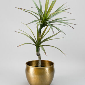 9in Wide Brass-Look Aluminum Planter Pot, Medium