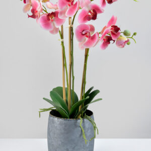 6.25in Tall Galvanized Iron Pot