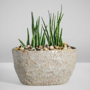 4.5in Tall Oval Taupe Ceramic Cachepot